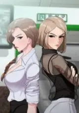 Cat-Fight